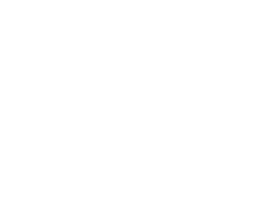 Les Reflets D'Emelie Logo